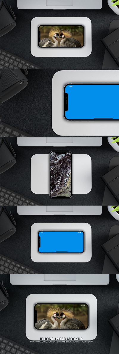 iPhone 12 APP UI样机展示模型mockups