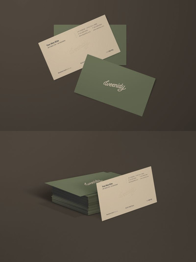 高品质的现代名片设计VI样机展示模型mockups