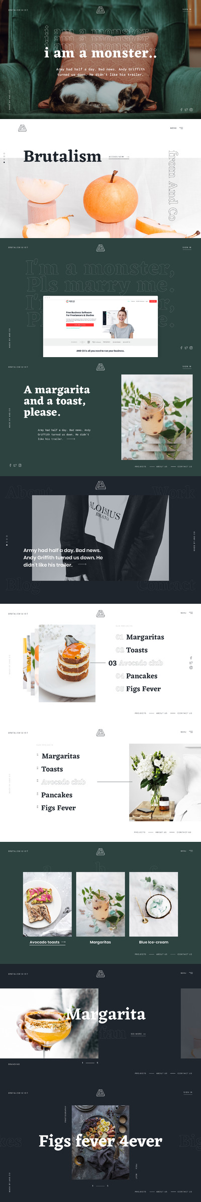 野兽派艺术UI网页模板