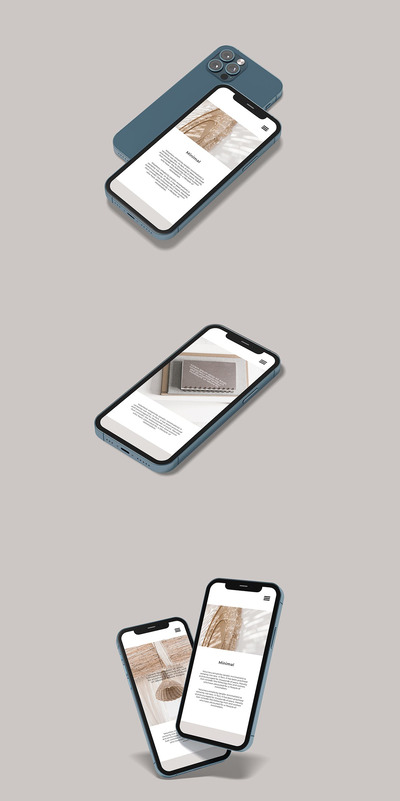 Phone 12 Pro 正反组合手机样机（PSD）