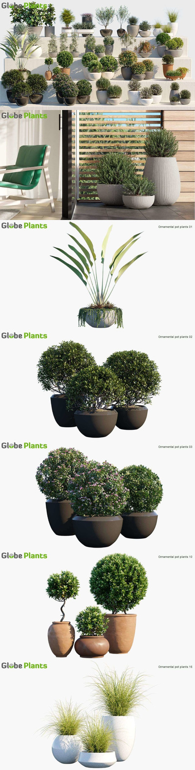 优质的小型绿植植物3D模型大合集（FBX，MAX 1.64GB）