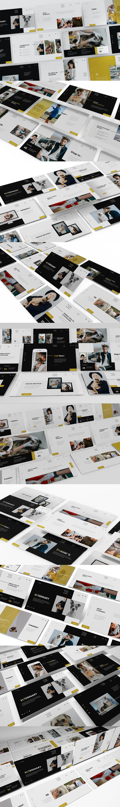 时尚高端专业的高品质宠物兽医协会powerpoint幻灯片演示模板（pptx）