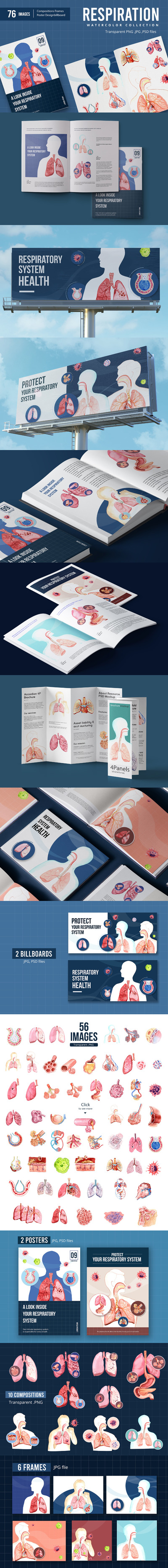 人体呼吸系统水彩插画素材