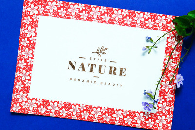 高端花边logo展示样机