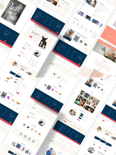 宠物网页设计模板