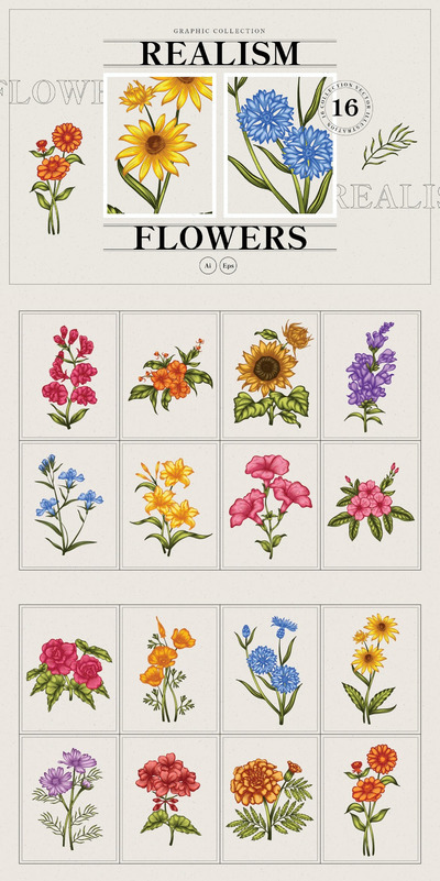 时尚高端优雅简约风格的矢量花朵花卉植物插画集合-AI，EPS