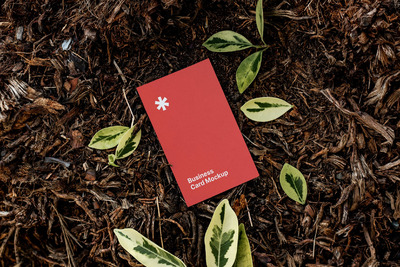 在土上的名片设计展示样机 (PSD)