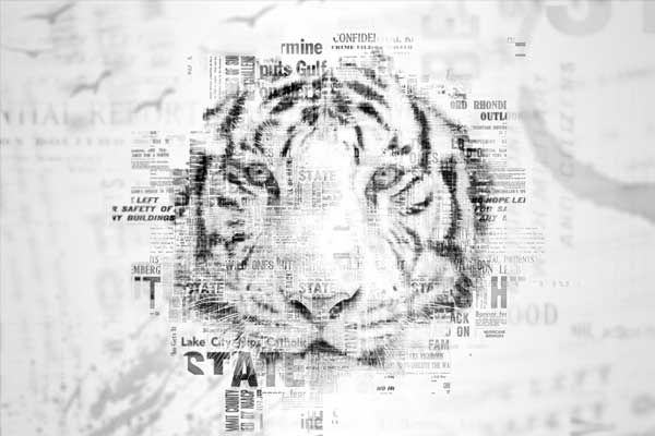 新闻报纸版式照片效果ps动作 (atn)