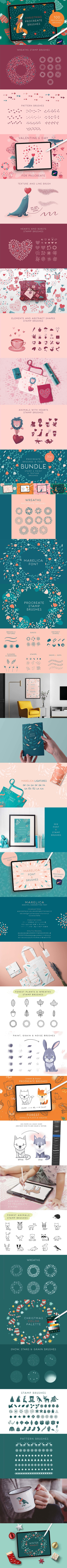 Procreate笔刷和字体素材 (PNG,BRUSHSET,WOFF,AI,EPS,OTF)