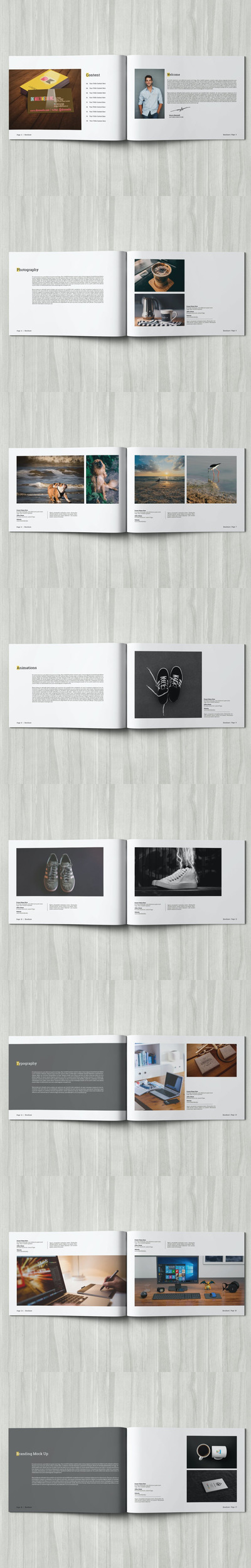 创意企业画册模板(INDD)