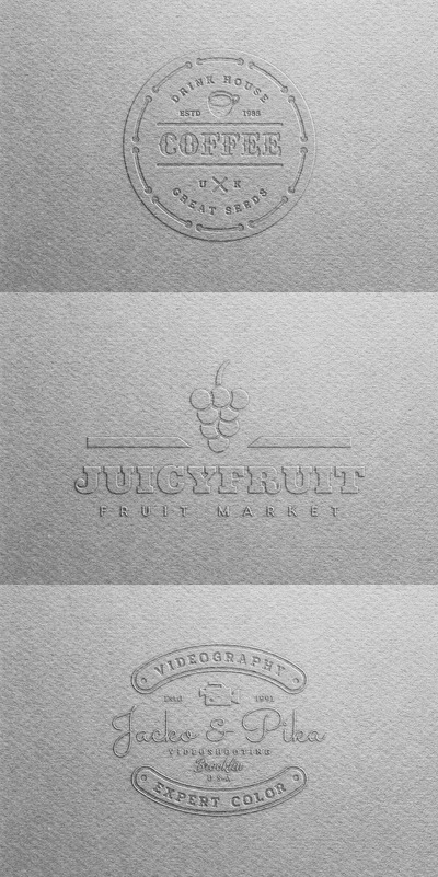 浮雕纸logo设计模型 (PSD)