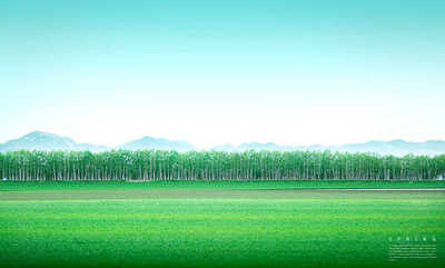 绿树绿草风景背景图素材 (psd)