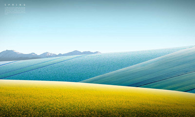 美丽花海风景背景图素材 (psd)