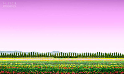 缤纷多彩美丽花海风景背景图素材 (psd)