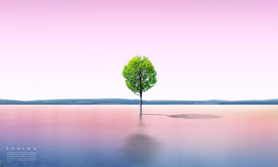 渐变大地绿树风景背景图素材 (psd)