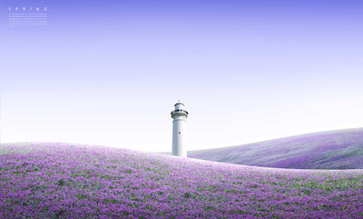 薰衣草花海风景背景图素材 (psd)