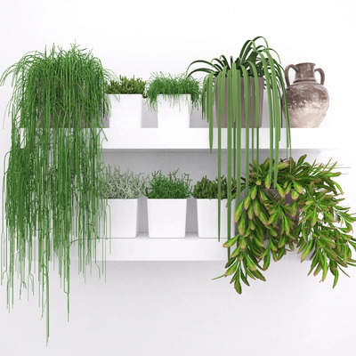 多肉植物组3D模型（OBJ,FBX,MAX）