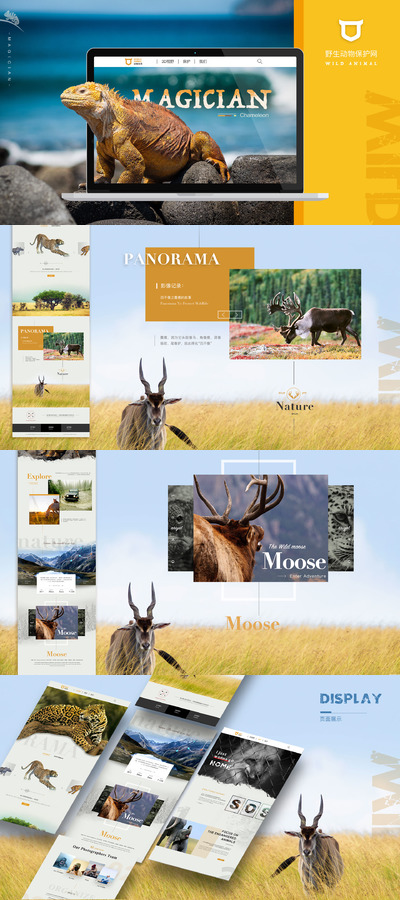 动物&户外旅行主题官网