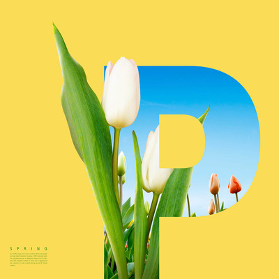 “P”字母春天春季主题海报设计素材 (psd)