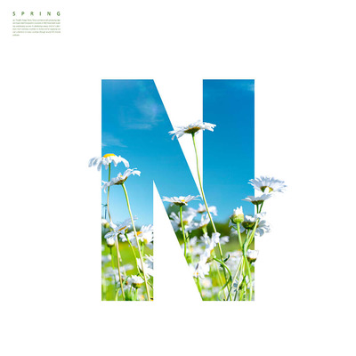 “N”字母春天春季主题海报设计素材 (psd)
