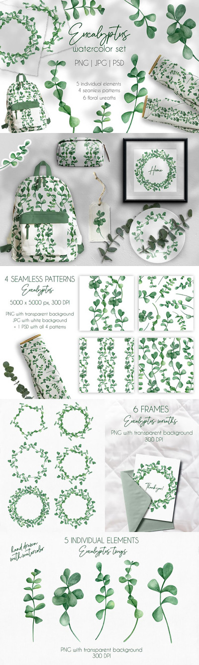 手绘深绿色桉树&树叶水彩剪贴画素材集 (PNG)