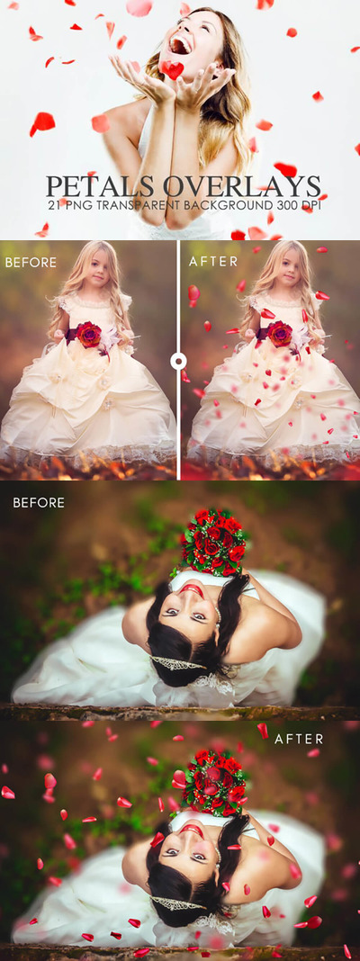 红色花瓣透明照片叠层背景素材 (png)