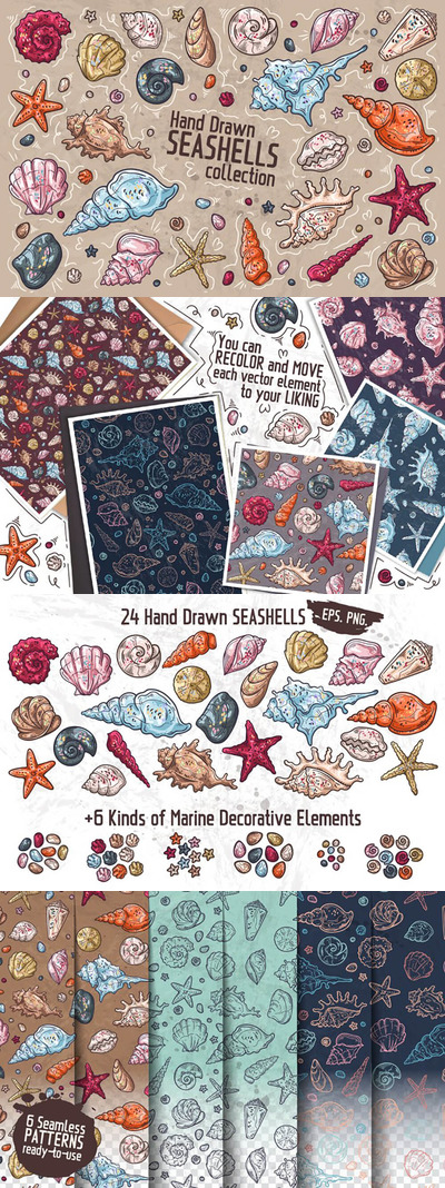 海洋贝壳手绘矢量元素剪贴画收藏集 (ai,eps)