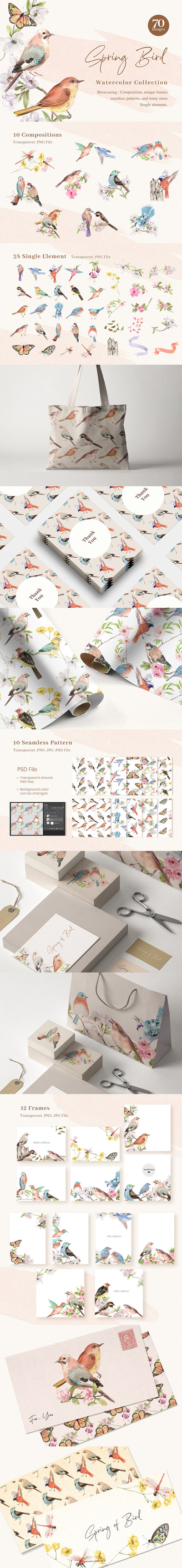 春鸟春天水彩剪贴画素材 (psd,jpg,png)