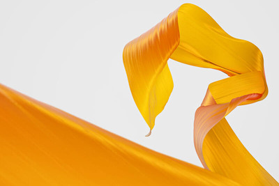 3D软件可用的布料材质凹凸贴图下载（JPG）