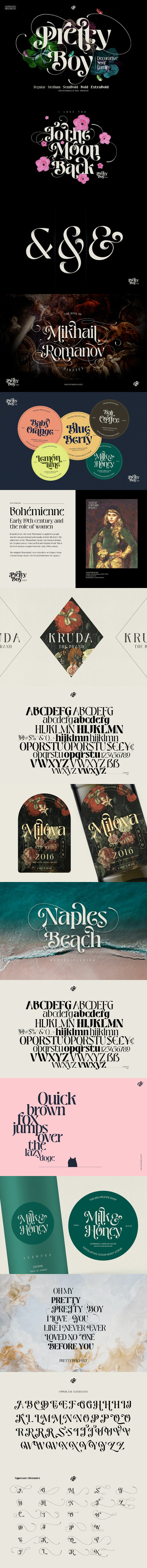 时尚高端优雅清新多用途的装饰衬线英文字体设计