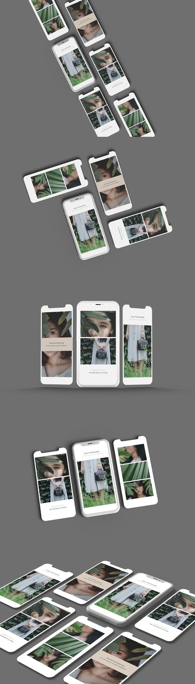 Phone X -平面展示样机 (PNG,PDF)