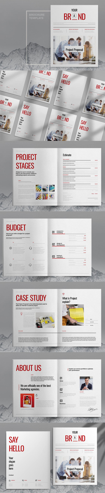 项目提案商业手册设计模板 (indd)