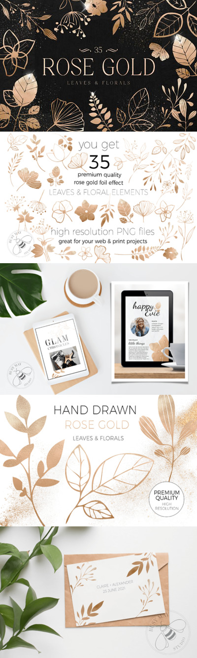 玫瑰金叶子花卉金箔元素手绘插画素材 (png)
