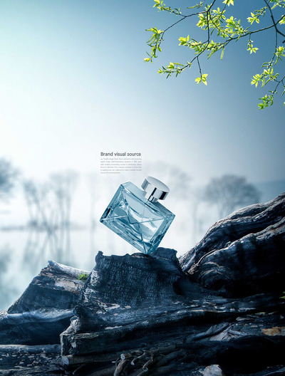朽木元素香水品牌视觉海报设计模板 (psd)