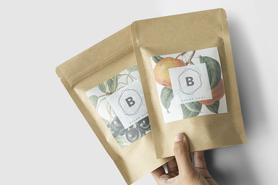 高端密封袋包装样机(PSD)