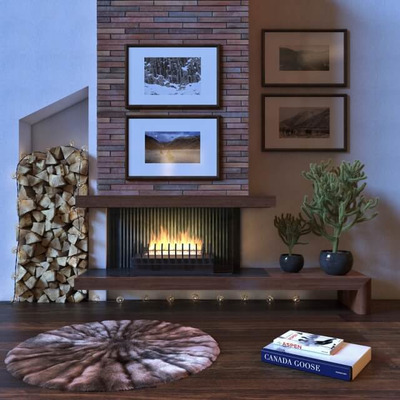 壁炉和盆景壁画地毯等周围装饰3D模型（OBJ,FBX,MAX）