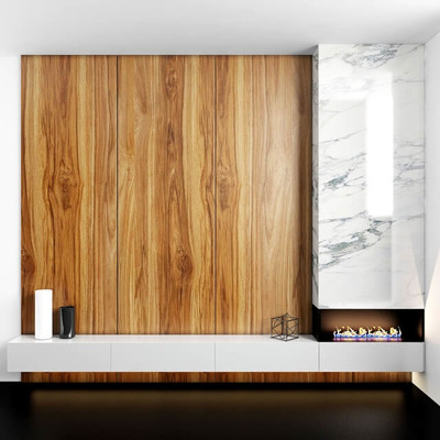 壁炉和实木电视背景墙3D模型（OBJ,FBX,MAX）