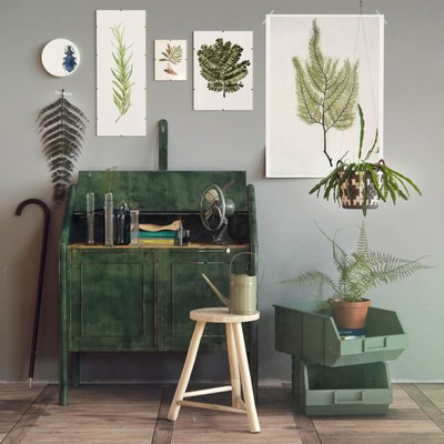 家庭绿植主题装饰区3D模型（OBJ,FBX,MAX）