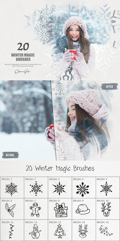 20个冬季元素ps笔刷素材 (abr)
