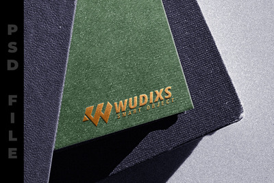 现代书籍印压logo样机(PSD,JPG)