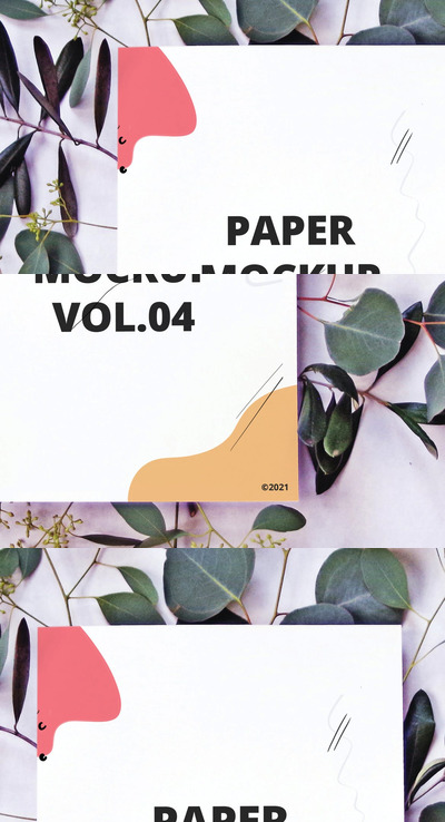 礼品包装纸张样机 (PSD)