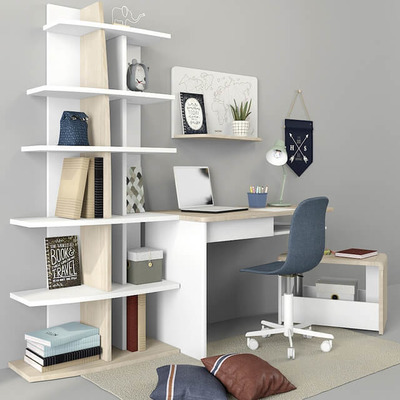 书架和书桌椅3D模型（OBJ,FBX,MAX）