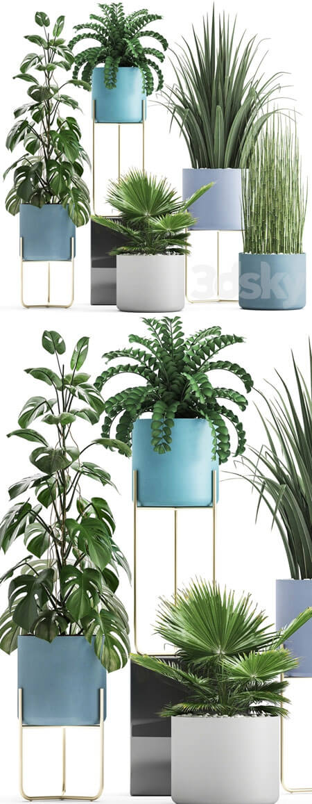 办公室绿植3D模型 (MAX,OBJ,TEX,3D Models)