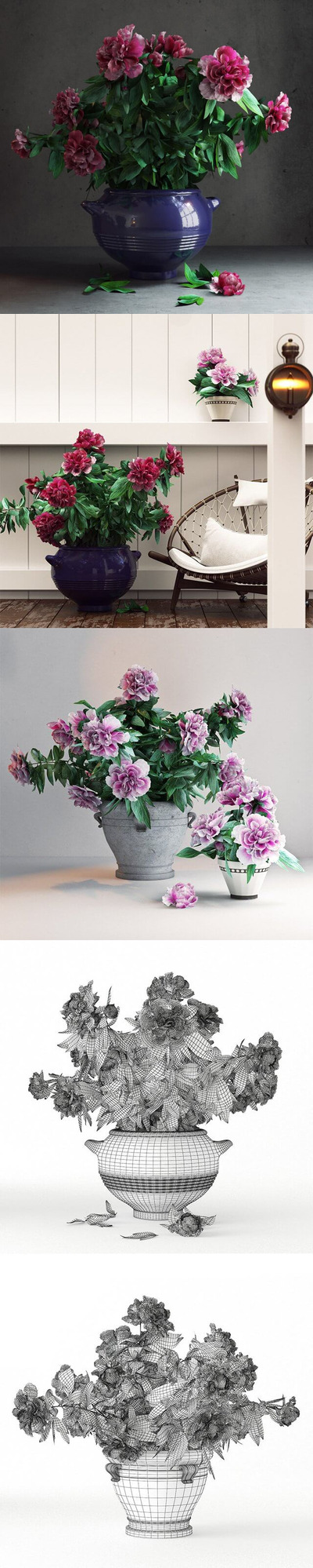 园林牡丹花花卉套装3D模型下载（C4D,FBX,OBJ,MAX）