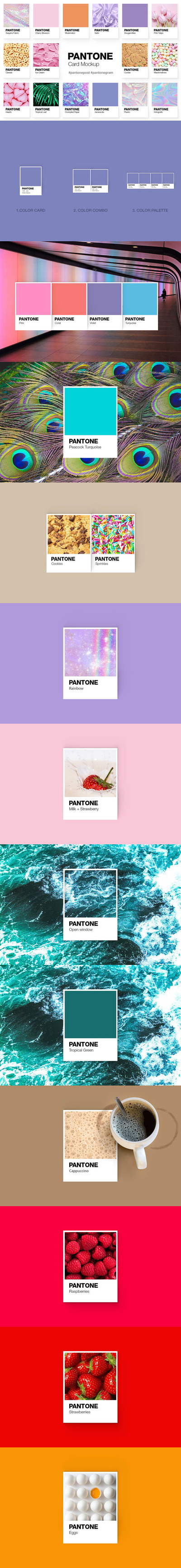 潘通Pantone色卡样机模板 (psd)