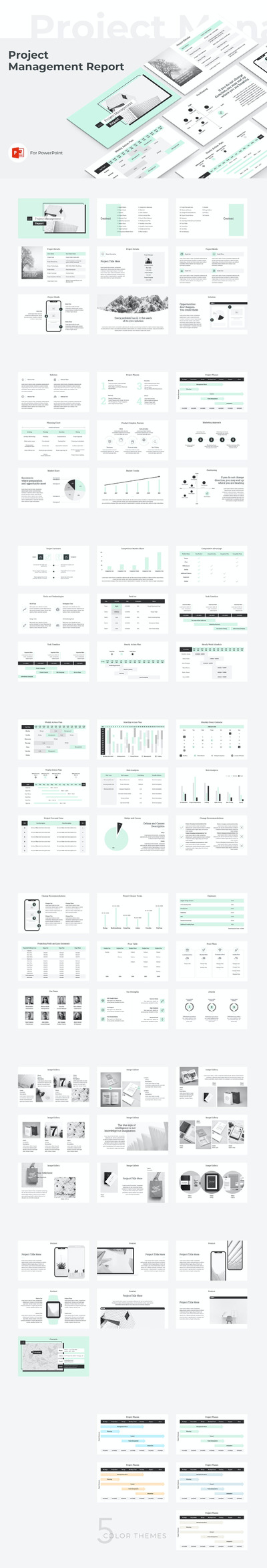 项目管理报告演示模板 (PPTX)