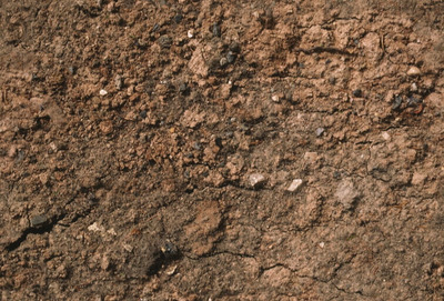 岩石3D模型（FBX,MAX）