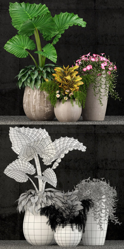 时尚植物绿植组合3D模型下载 (MAX,FBX,OBJ,TEX)