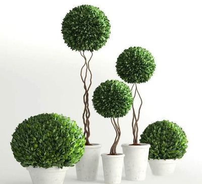 绿植3D模型下载 (MAX,FBX,OBJ,TEX)