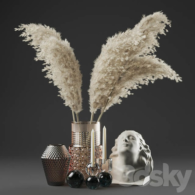 玻璃瓶中的干花和石膏头像等装饰组合3D模型（OBJ,FBX,MAX）
